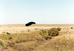 Unit 152 image b