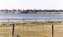 Unit 152 image c
