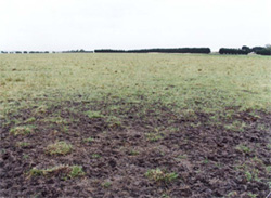 Unit 153 image b