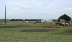 Unit 153 image c