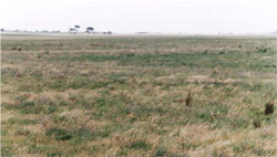 Unit 154 image c