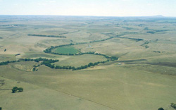 Unit 155 image a