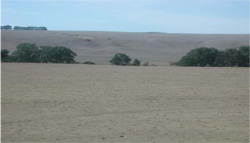 Unit 155 image c