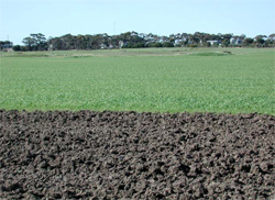 Unit 156 image b