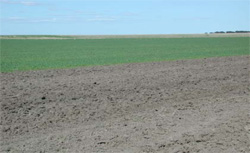 Unit 156 image c