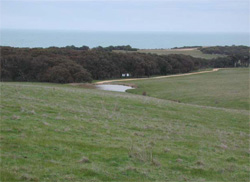 Unit 158 image a