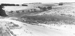 Unit 158 image c