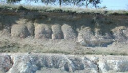 Unit 15 image c