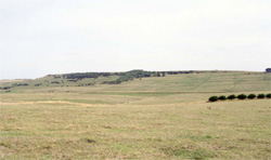 Unit 160 image c