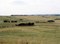 Unit 161 image b