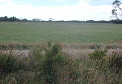 Unit 162 image b