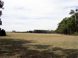 Unit 163 image b