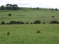 Unit 164 image b