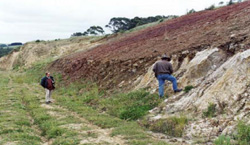Unit 164 image c