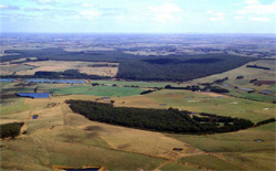 Unit 165 image a