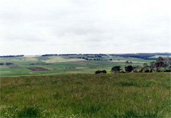 Unit 165 image b
