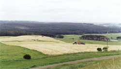 Unit 165 image c
