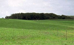 Unit 167 image b