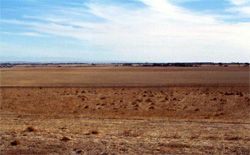 Unit 168 image a