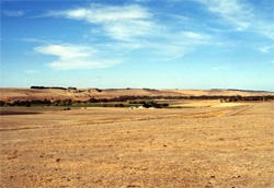 Unit 168 image b