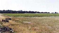 Unit 168 image c