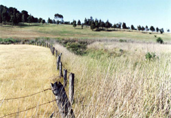 Unit 169 image b