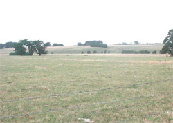 Unit 170 image b