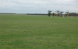 Unit 171 image a