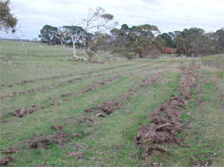 Unit 171 image b