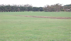 Unit 171 image c