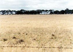 Unit 172 image b