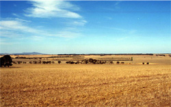 Unit 173 image a