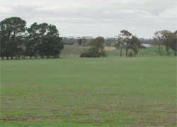 Unit 173 image b