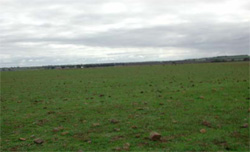 Unit 173 image c