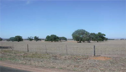 Unit 174 image c