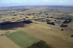 Unit 175 image a