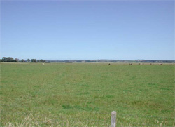 Unit 175 image b