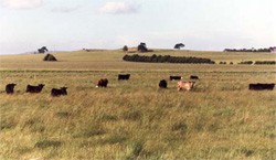 Unit 175 image c