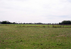 Unit 176 image b