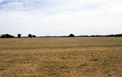 Unit 177 image a