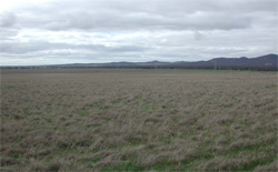 Unit 178 image a