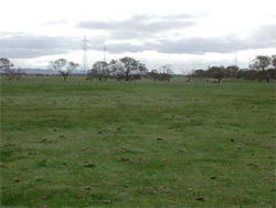 Unit 178 image b