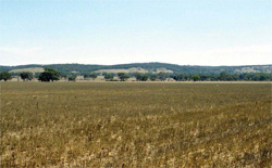 Unit 179 image a