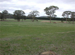 Unit 179 image b