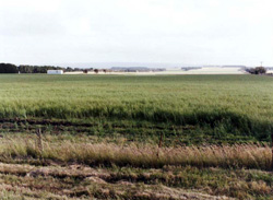 Unit 180 image b