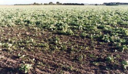 Unit 180 image c