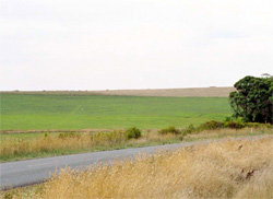 Unit 181 image b