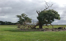 Unit 182 image a