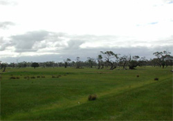 Unit 182 image b