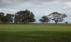 Unit 182 image c
